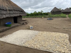 The family´s house and cassava drying in the sun 